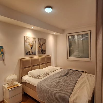 Rental of a cozy 2-room apartment, 50 m², Voždovac district, Belgrade, Serbia